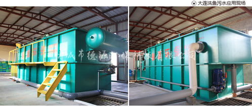 德源食品深加工产业链 从源头到出口的精细化与可持续发展之路